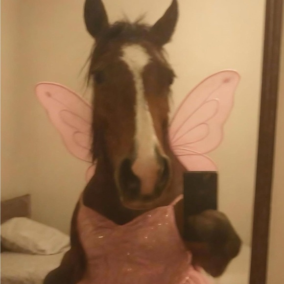 bijouhendee